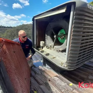 کولر سلولزی چیست